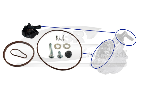 3RG Reperationssæt, vacuumpumpe (bremsesystem) 74201 for PEUGEOT CITROËN FORD VOLVO FIAT MINI MAZDA