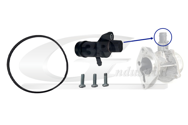 3RG Reperationssæt, vacuumpumpe (bremsesystem) 74602 for RENAULT