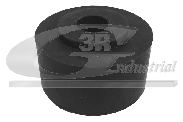 3RG Ophæng, stabilisator 60660 venstre foraksel for RENAULT