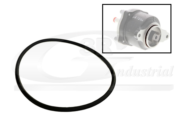 3RG Pakning, vakuumpumpe 81091 for RENAULT