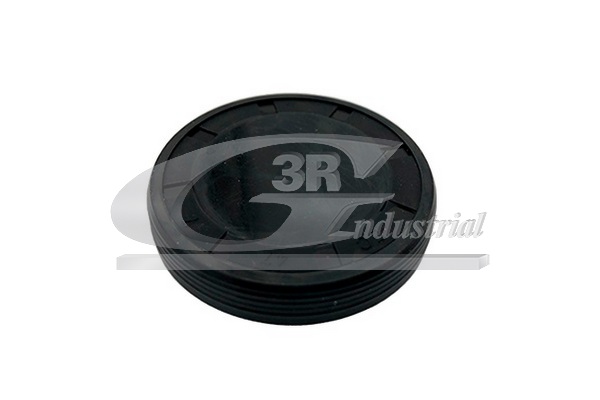 3RG Prop, monteringsboring for vippearmsaksel 84613 RENAULT