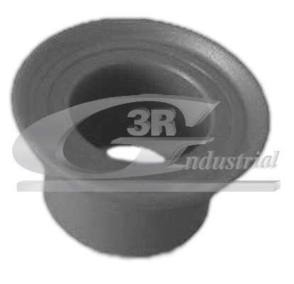 3RG Bøsning, gearstang 24607 nede for RENAULT