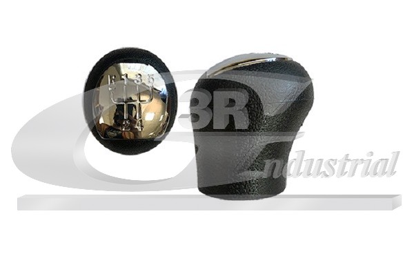 3RG Gearknop 25609 for RENAULT