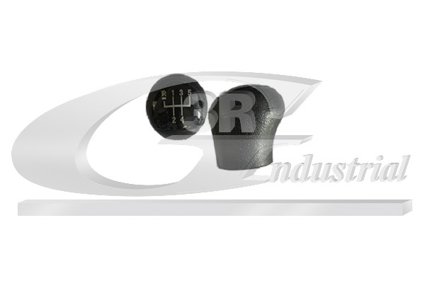 3RG Gearknop 25610 for RENAULT