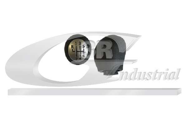 3RG Gearknop 25617 for RENAULT