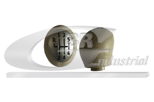 3RG Gearknop 25616 for RENAULT