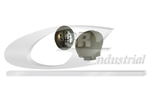 3RG Gearknop 25618 for RENAULT