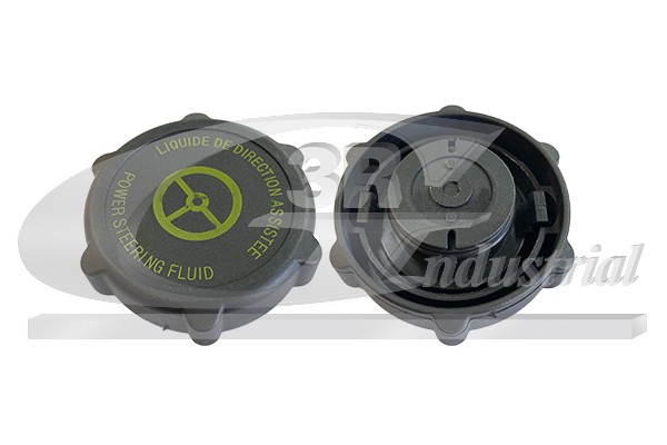 3RG Pakring, blindprop-servopumpe 81318 for FORD