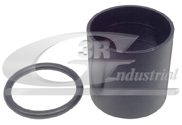 3RG Rep.sæt, indsprøjtningsdyse 81624 for RENAULT