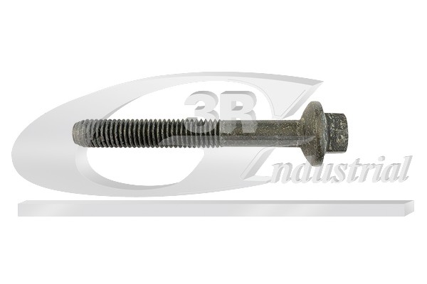 3RG Skrue, indsprøjtningsdyseholder 83631 for DACIA