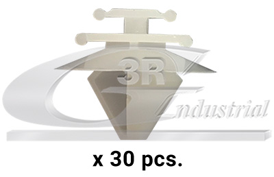 3RG Clips, side-/beskyttelseslister 86120 for PEUGEOT ALFA ROMEO RENAULT