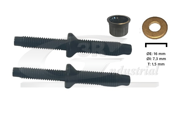 3RG Pakningssæt, indsprøjtningsdyse 93215 for PEUGEOT FORD