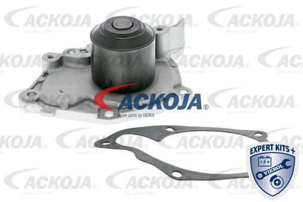 ACKOJA Vandpumpe A38-50006 for NISSAN RENAULT SUZUKI