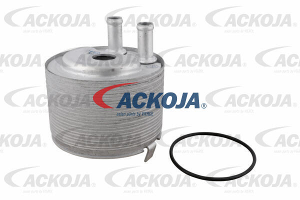 ACKOJA Oliekøler, motorolie a38600012 for NISSAN