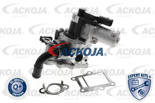 ACKOJA Ventil, udstødningsrecirkulation a52630013 for KIA