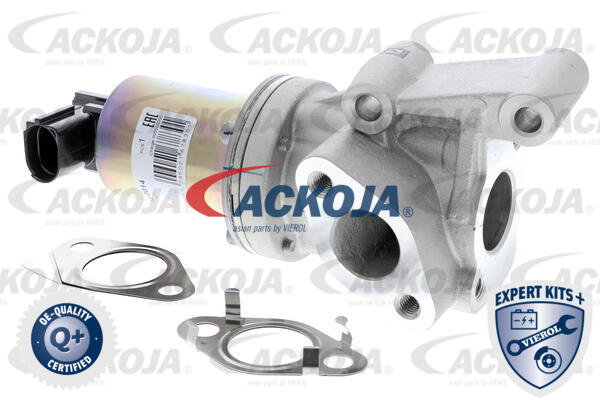 ACKOJA Ventil, udstødningskontrol a52630014 for KIA