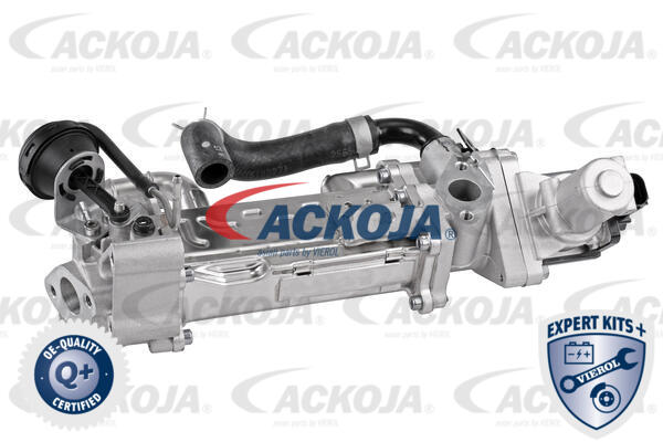 ACKOJA EGR-Modul a52630019 for KIA