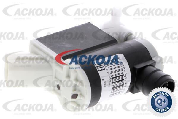 ACKOJA Vandpumpe, rudevisker/vasker A53-08-0001 for KIA