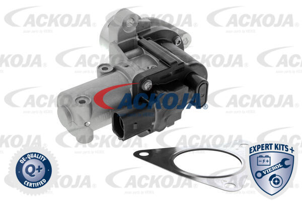 ACKOJA Ventil, udstødningskontrol a53630003 for KIA