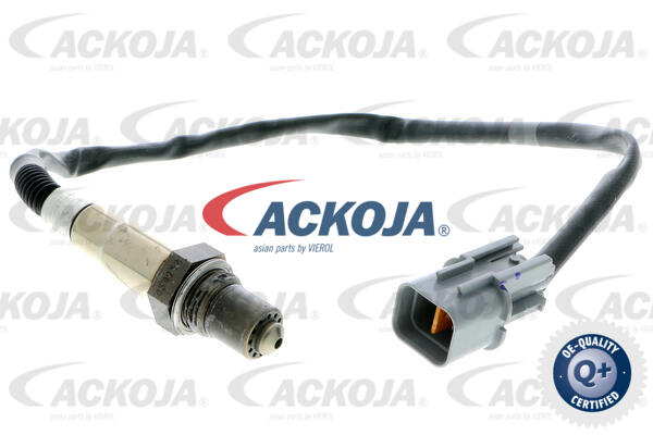 ACKOJA Lambdasonde a53760012 for KIA