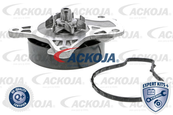 ACKOJA Vandpumpe A70-50006 for TOYOTA LEXUS
