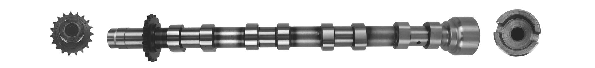 AE Knastaksel cam1019 Udstødningsside for CITROËN/PEUGEOT