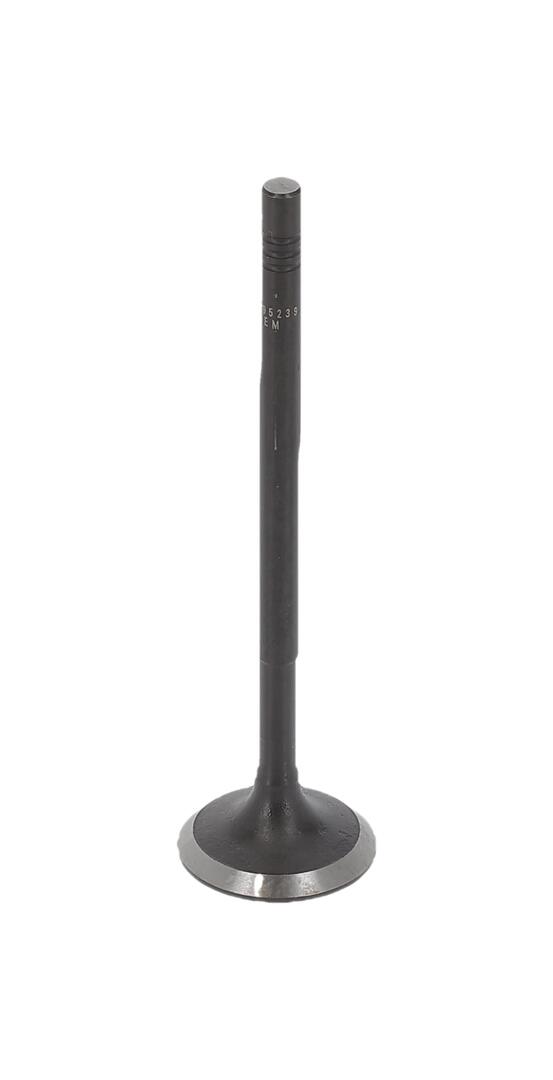 AE Indsugningsventil v95239 for MERCEDES-BENZ RENAULT NISSAN