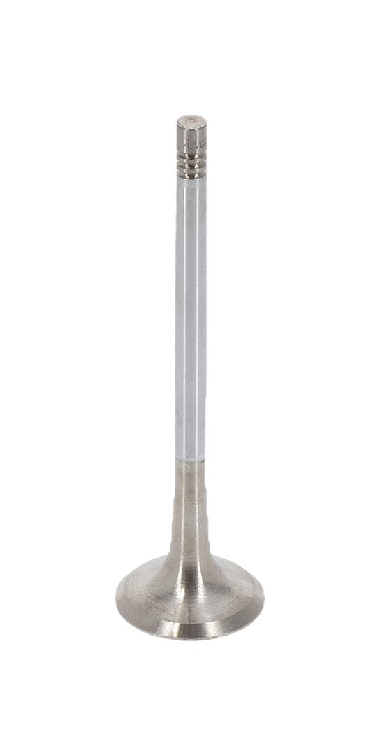 AE Udstødningsventil v80024 for VAG AUDI PORSCHE