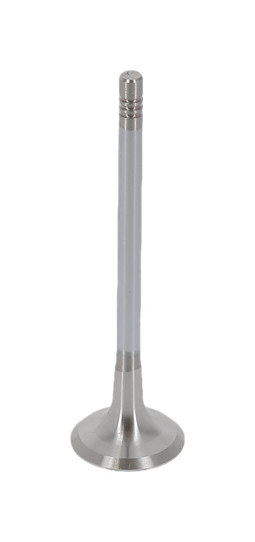 AE Udstødningsventil v94692 for SKODA AUDI VW SEAT