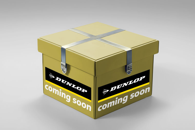 DUNLOP AIRSUSPENSION Luftfjederben 71128 venstre foraksel for LAND ROVER