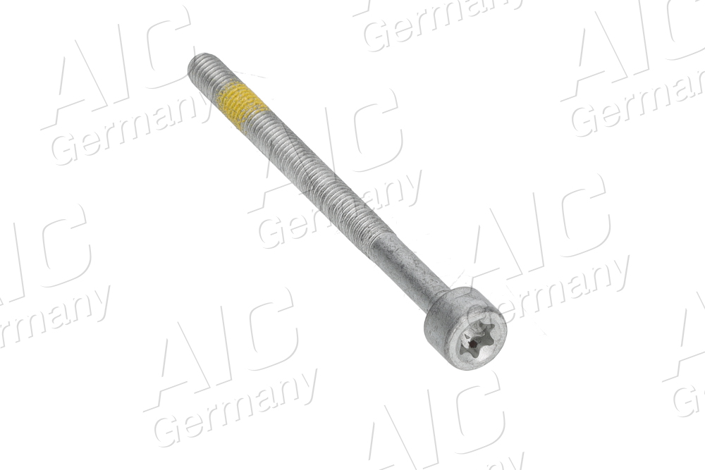 AIC Skrue, indsprøjtningsdyseholder 57979 for MERCEDES-BENZ DODGE SMART