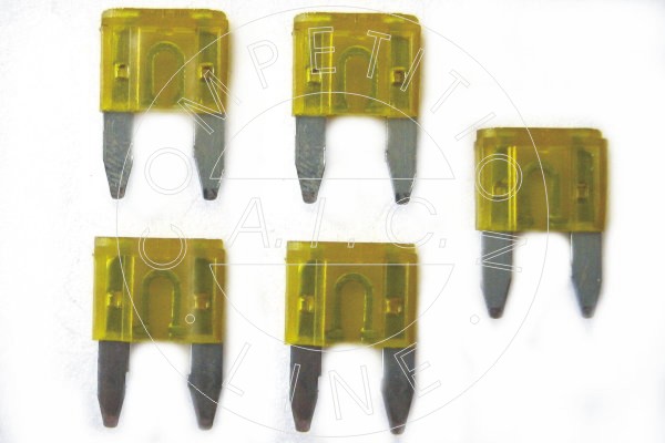 AIC Sikring 52148 for FORD BMW RENAULT VW