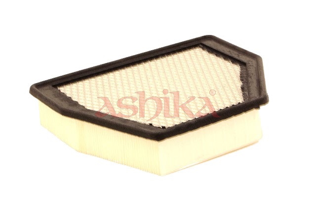 ASHIKA Luftfilter 20-0W-W17 Filterindsats for_oe_number_48|til original-nummer| length_mm_203|Længde [mm]|283 width_mm_206|Bredde [mm]|223 55mm for O