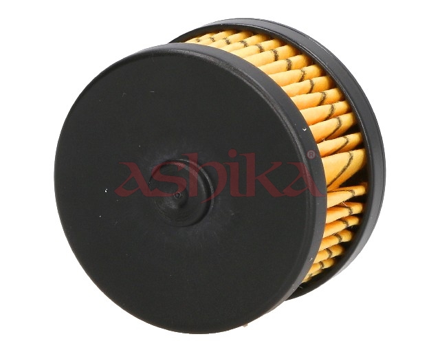 ASHIKA Brændstof-filter 10gas22s Filterindsats outer_diameter_mm_497|Yderdiameter [mm]|35 inner_diameter_mm_496|Indvendig diameter [mm]|13 height_mm_2