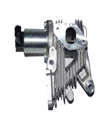 ASSO EGR-ventil 700081 for RENAULT