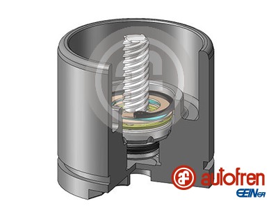 AUTOFREN SEINSA Stempel, bremsekaliper d025256rk
