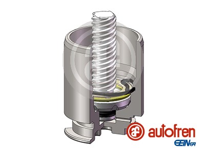 AUTOFREN SEINSA Stempel, bremsekaliper d025422rk