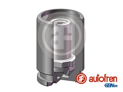AUTOFREN SEINSA Stempel, bremsekaliper d025602k bagaksel for MERCEDES-BENZ NISSAN TOYOTA