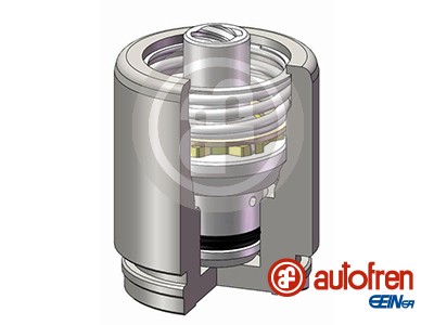 AUTOFREN SEINSA Stempel, bremsekaliper d025605k