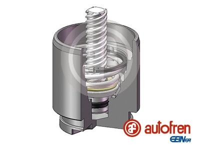 AUTOFREN SEINSA Stempel, bremsekaliper d025704k for MITSUBISHI