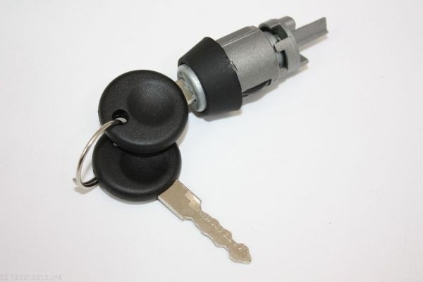 AUTOMEGA Låsecylinder, tændingslås 100010910 for VAG AUDI