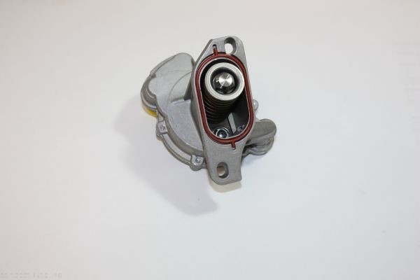 AUTOMEGA Vakuumpumpe, bremsesystem 120013510 for VAG