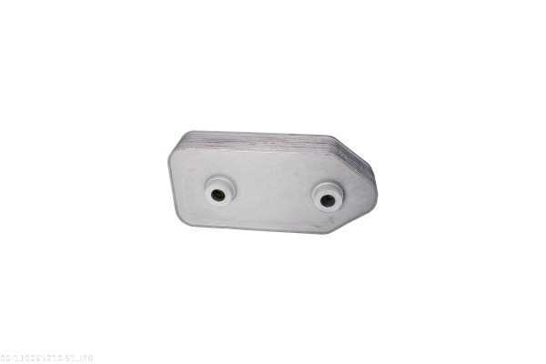 AUTOMEGA Oliekøler, motorolie 130065210 for AUDI VAG