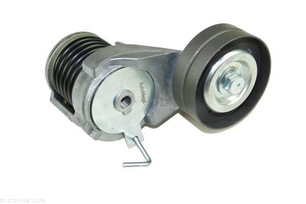 AUTOMEGA Remstrammer, kilerem 210155810 for VAG
