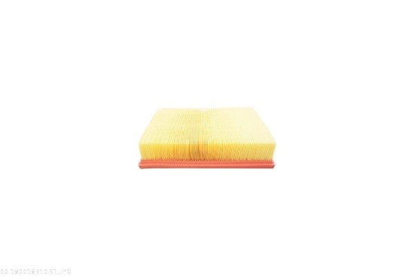 AUTOMEGA Luftfilter 180018310 Filterindsats shape_467|Form|rektangulær length_mm_203|Længde [mm]|277 width_mm_206|Bredde [mm]|218 height_mm_209|Højde