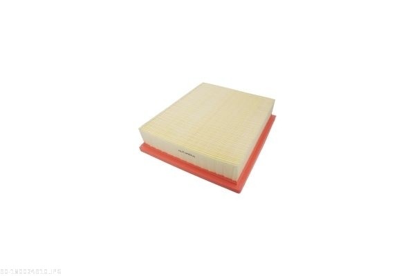 AUTOMEGA Luftfilter 180024910 Filterindsats shape_467|Form|rektangulær length_mm_203|Længde [mm]|268 width_mm_206|Bredde [mm]|228 height_mm_209|Højde