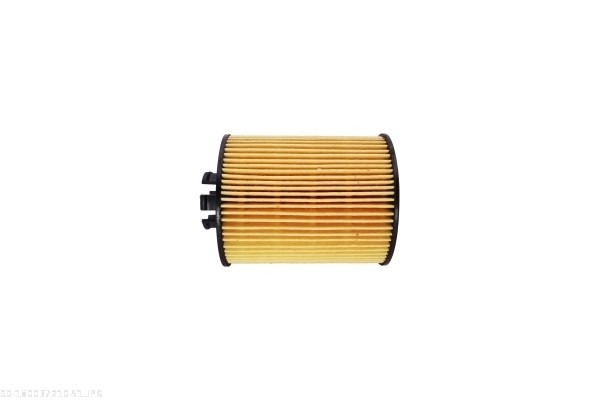 AUTOMEGA Oliefilter 180037210 Filterindsats height_mm_209|Højde [mm]|87 inner_diameter_mm_496|Indvendig diameter [mm]|9 height_1_mm_339|Højde 1 [mm]|8