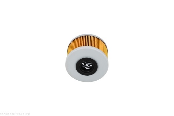 AUTOMEGA Brændstof-filter 180008310 Filterindsats 51mm for OPEL GENERAL MOTORS DACIA