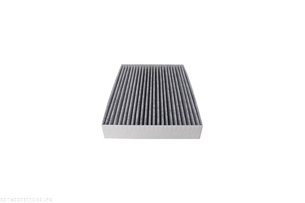 AUTOMEGA Kabineluftfilter 180003110 for DACIA