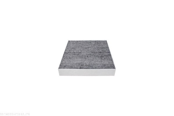 AUTOMEGA Kabineluftfilter 180005710 for FORD VOLVO